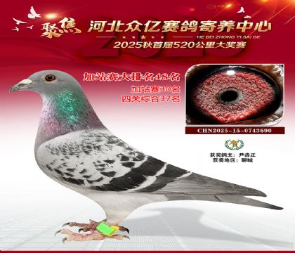 河北众亿赛鸽寄养中心加站赛48