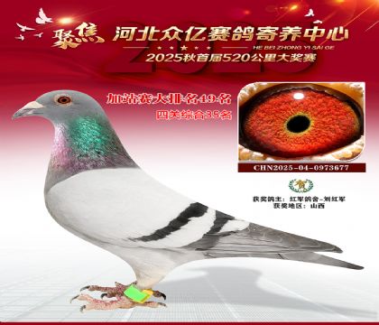 河北众亿赛鸽寄养中心加站赛49