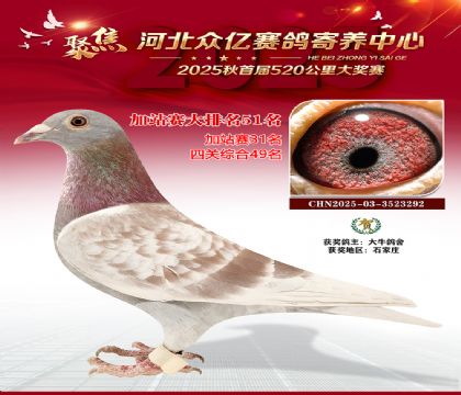 河北众亿赛鸽寄养中心加站赛51