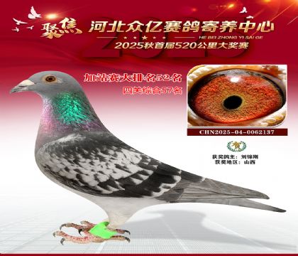 河北众亿赛鸽寄养中心加站赛52