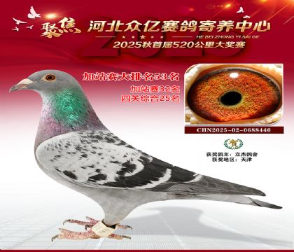 河北众亿赛鸽寄养中心加站赛53