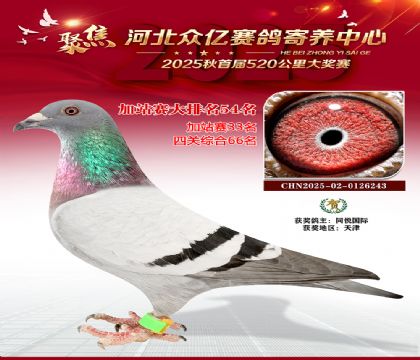 河北众亿赛鸽寄养中心加站赛54