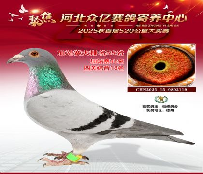 河北众亿赛鸽寄养中心加站赛58
