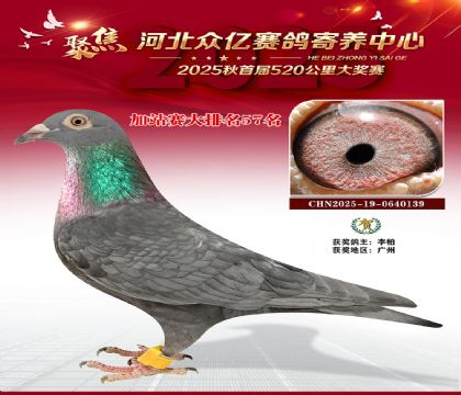 河北众亿赛鸽寄养中心加站赛57