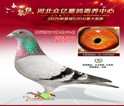 河北众亿赛鸽寄养中心加站赛60