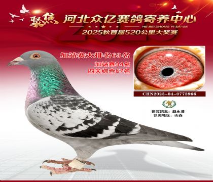 河北众亿赛鸽寄养中心加站赛63