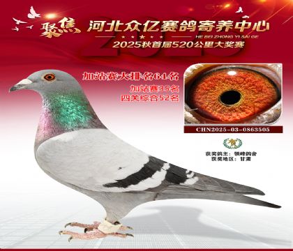 河北众亿赛鸽寄养中心加站赛64