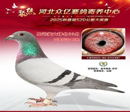 河北众亿赛鸽寄养中心加站赛66