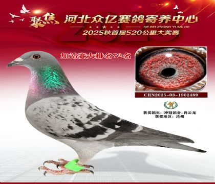 河北众亿赛鸽寄养中心加站赛72