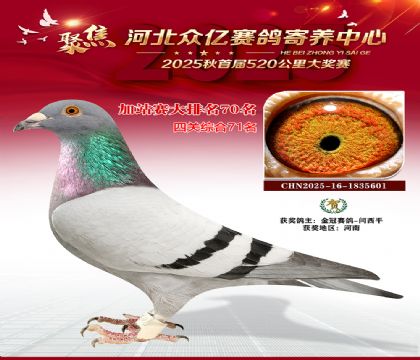 河北众亿赛鸽寄养中心加站赛70