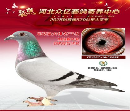 河北众亿赛鸽寄养中心加站赛77