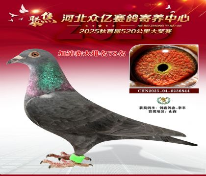 河北众亿赛鸽寄养中心加站赛78