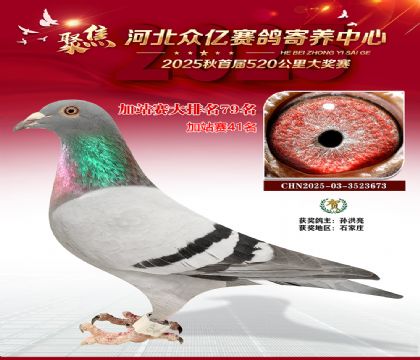 河北众亿赛鸽寄养中心加站赛79