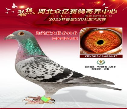 河北众亿赛鸽寄养中心加站赛80