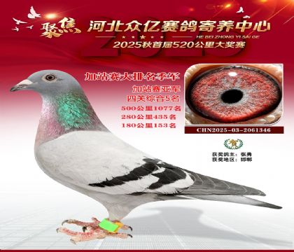 河北众亿赛鸽寄养中心加站赛季军