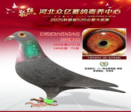 河北众亿赛鸽寄养中心加站赛6