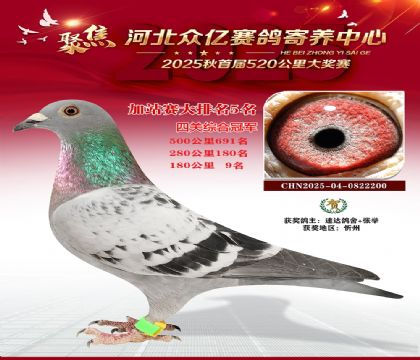 河北众亿赛鸽寄养中心加站赛5