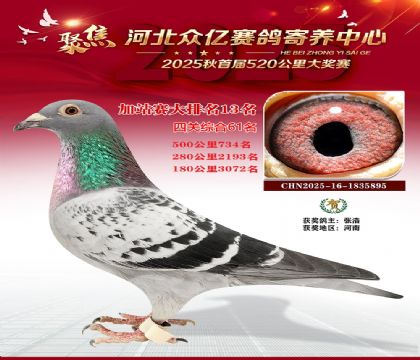 河北众亿赛鸽寄养中心加站赛13