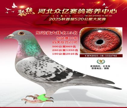 河北众亿赛鸽寄养中心加站赛15