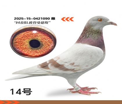 �ش������˵�����˹��Ѫ�����ָ�090