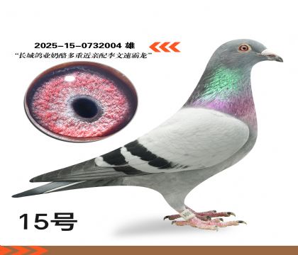 ��������X�����ٰ���