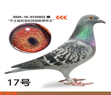 �����ٰ������������ƿ�022