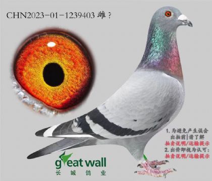 ���ǣ�����С�Ӷ��ػ�Ѫ