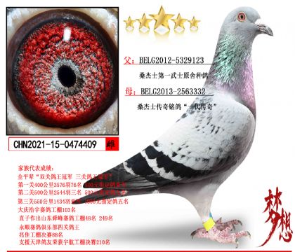 ɣ��ʿ��һ��ʿԭ�������ִ�