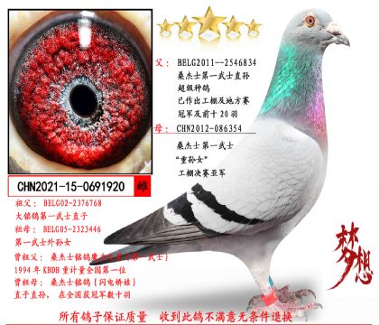 ɣ��ʿ��һ��ʿֱ��Xֱ��Ů����