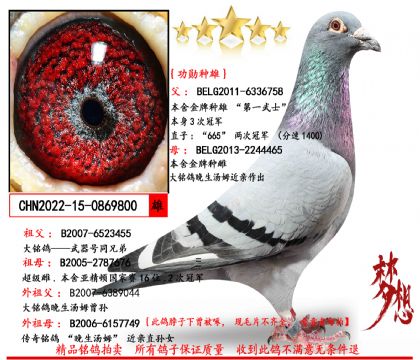 ɣ��ʿ��һ��ʿ��ѫ����