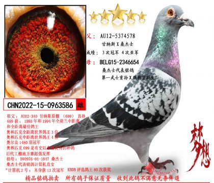 ɣ��ʿ��Ʒ����586