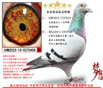 {��Ʒ����}ɣ��ʿ����1������