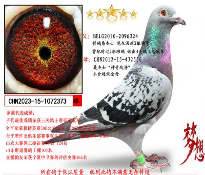 ɣ��ʿ������ĸ ������ķX�ǹ���