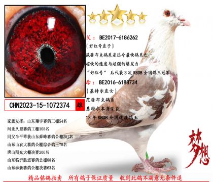 ���ǲ��ˡ��ú��ֱ�ӡ�X�����ض�ֱŮ����	