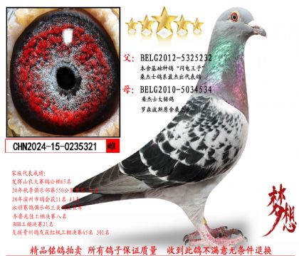 ����ɣ��ʿ�����ִ�321