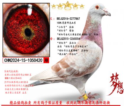 ���ǲ��ˡ�С���ֱ��X�ú��ֱ��Ů��