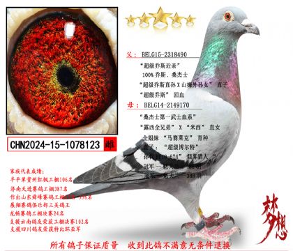 ɣ��ʿ���������ִ�123