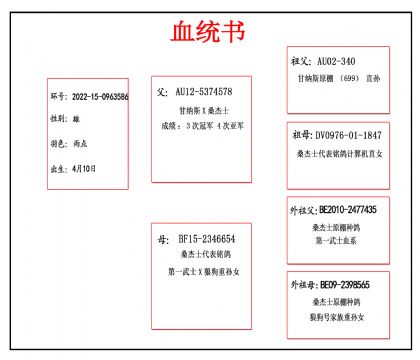 2022-15-0963586 Ѫ_����