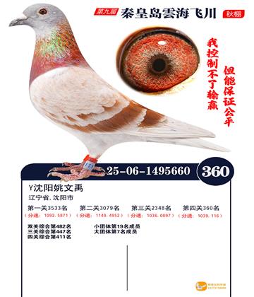 녺��ɴ�����360��