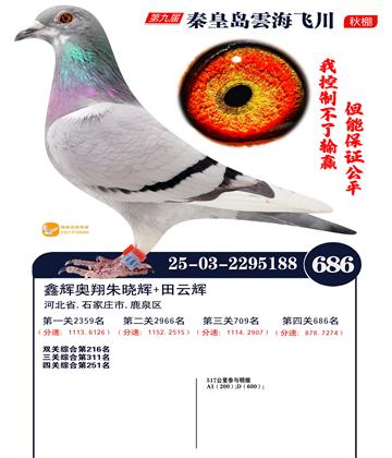 녺��ɴ�����686��