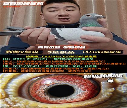 �������ָ��ۡ�003x�ھ�����