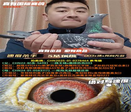 ���ٶ�ɱ�֡�003x��x�����޵�