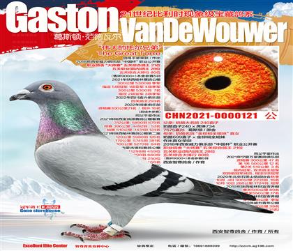 ����240��