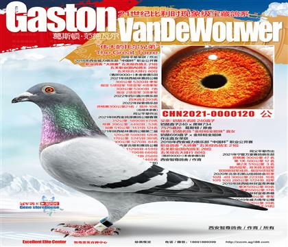 ����240��