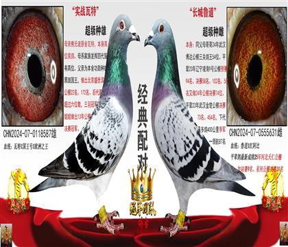 ÿ��һ���Ƽ���ԣ������ڲ�������ʱ������