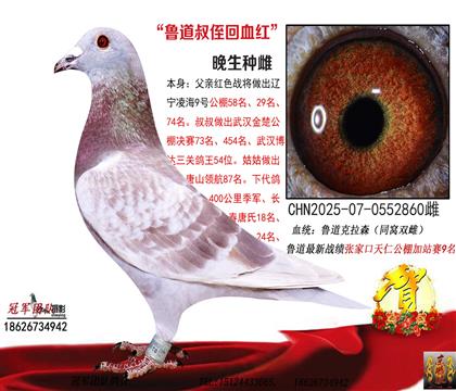 ���ۻ�ѪֱŮ0Ԫ����