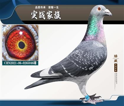 ���� �ش���ԭ��