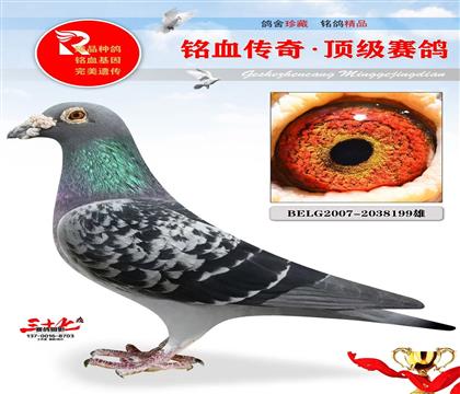 ��������š�KBDB�����Ǿ�