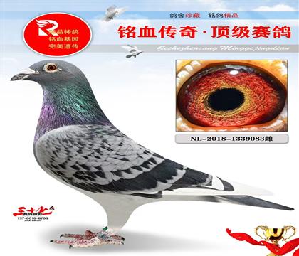 ����˹��ĸ���ھ�ĸ��