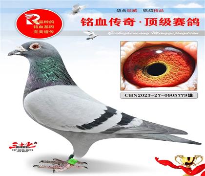 ���ܹ���66��